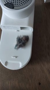 Xiaomi Mijia lint remover after usage 2